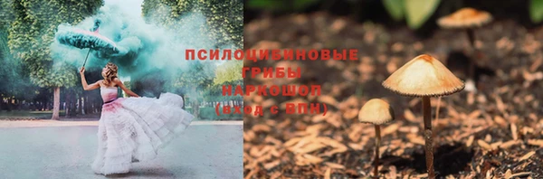 apvp Новозыбков