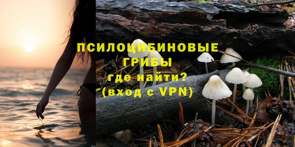 каннабис Новодвинск