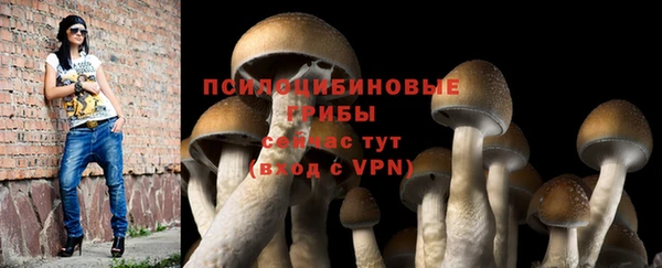 spice Нефтегорск