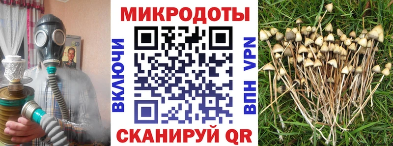 маркетплейс телеграм  что такое   Порхов  Галлюциногенные грибы мухоморы 