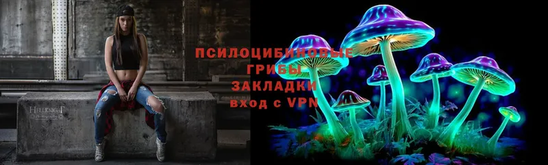 купить наркотики цена  Порхов  Псилоцибиновые грибы Psilocybine cubensis 